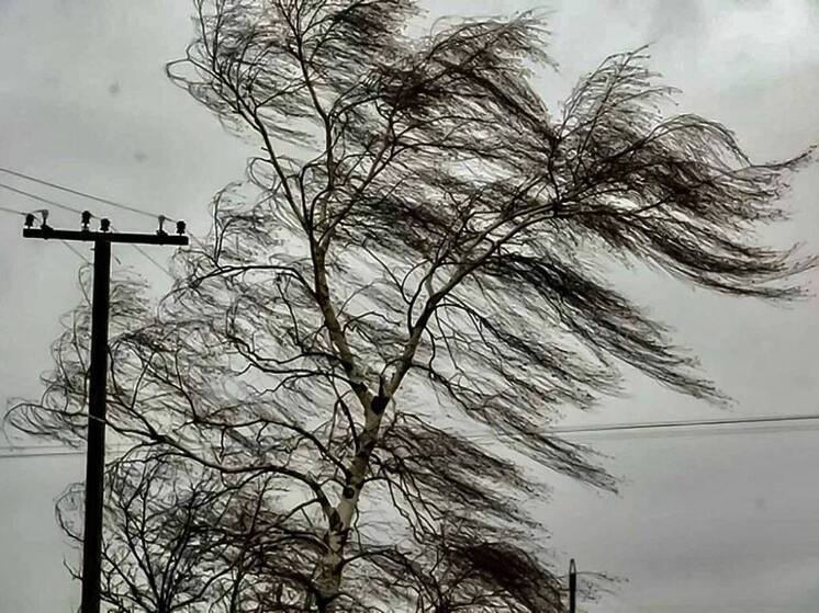 40 населенных пунктов Псковского района остаются без электричества