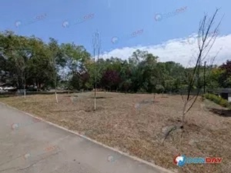  В Ростове у памятника летчикам Янову и Капустину засохли деревья