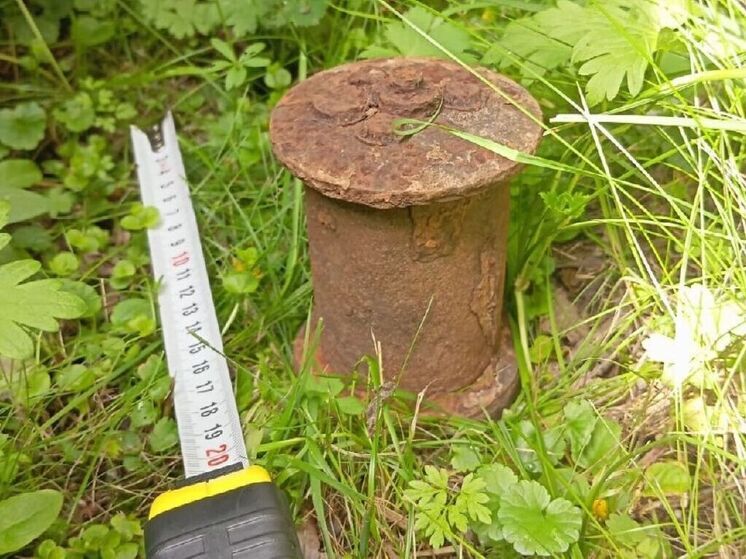 Снаряд времен ВОВ обнаружил житель Лотошино в поле