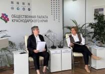 На площадке краевой Общественной палаты состоялось расширенное заседание, посвященное обсуждению социальных и инфраструктурных вопросов