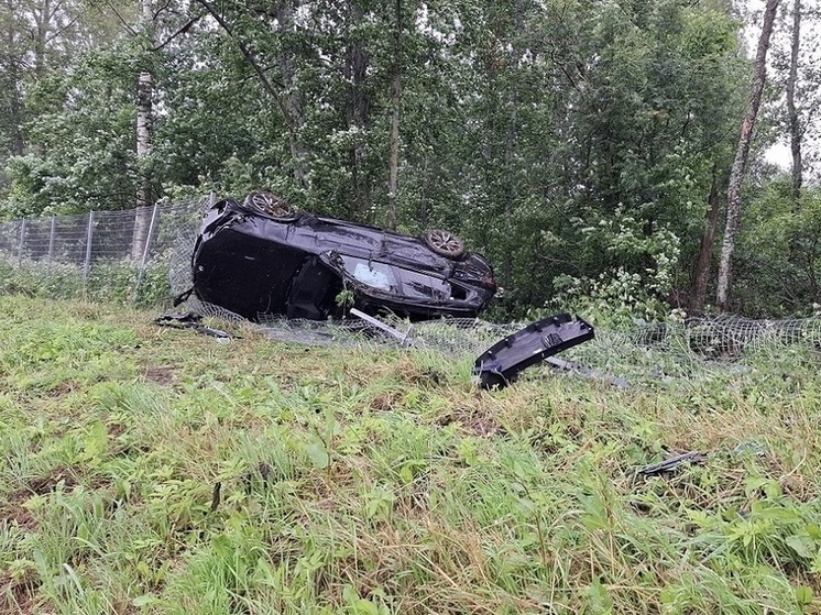 В Вяземском округе BMW вылетел с трассы