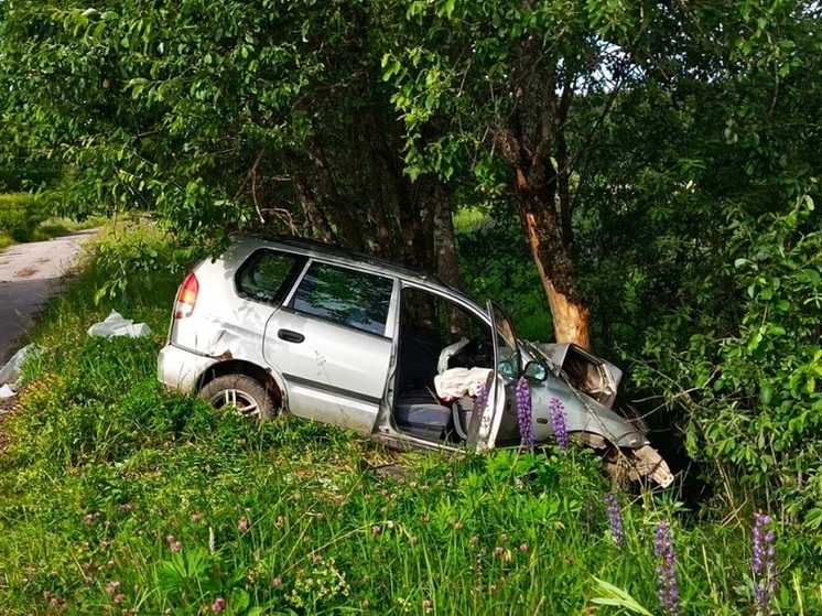 Два человека пострадали в результате ДТП в Кардымовском округе