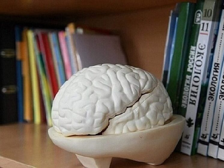 Эксперты заявили, что ИИ научился определять конкретную форму деменции у пациента