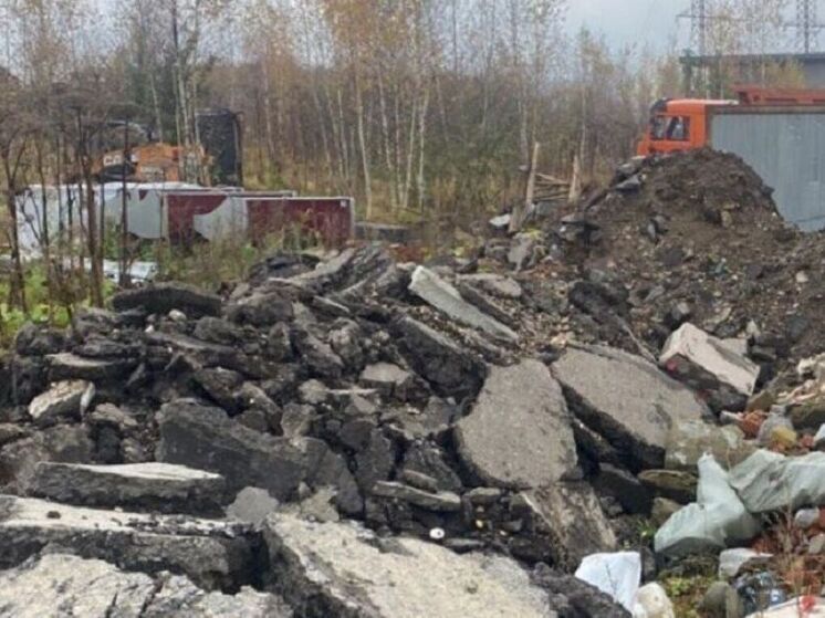 Прокуратура требует 27 миллионов компенсации за незаконную свалку в Химках