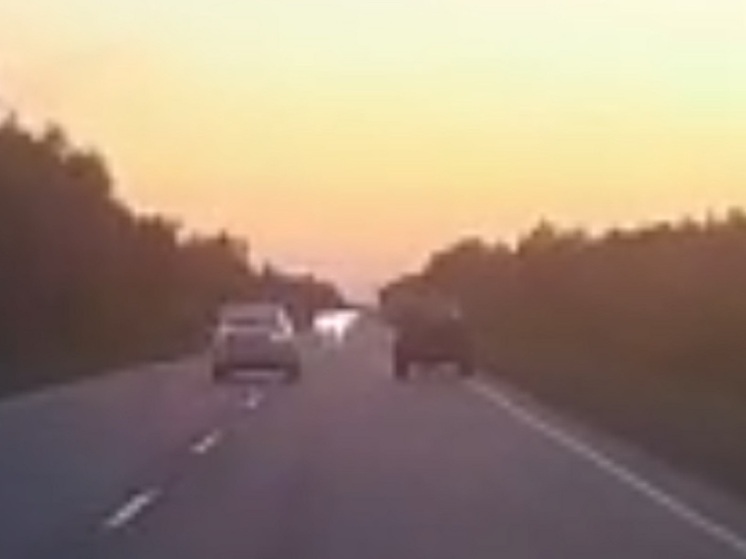 Пьяная девушка-водитель пыталась скрыться от ДПС в Курганской области