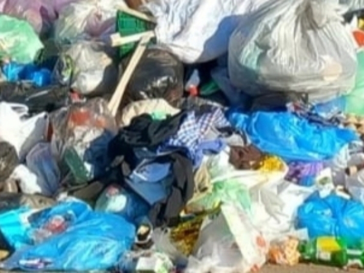 Орчане вывозят мусор из Москвы