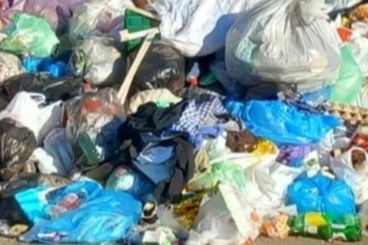 Орчане вывозят мусор из Москвы
