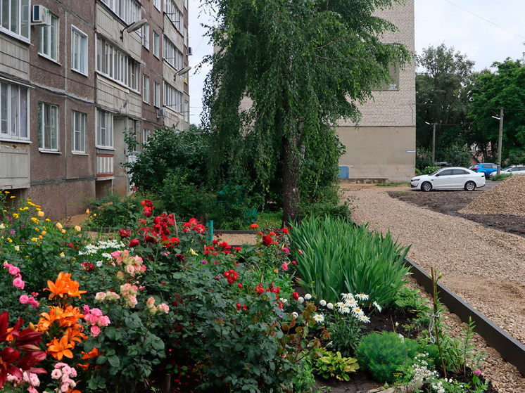 Глава одного из тамбовских городов раскритиковал подрядчиков
