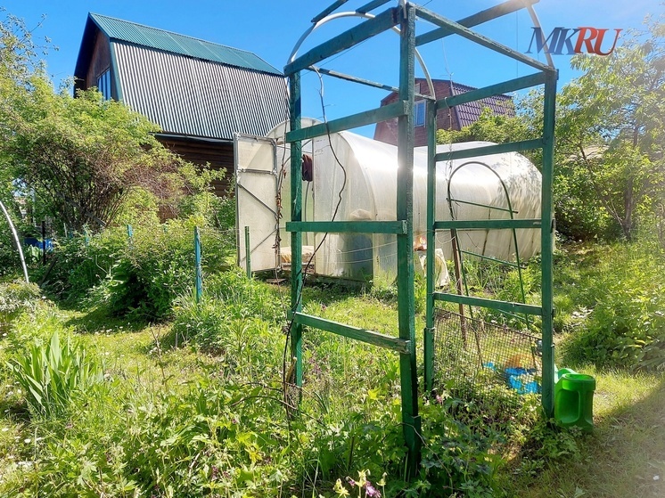 Калужанам рассказали, как быстро похудеть на капусте