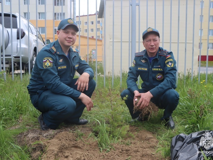 В НАО сотрудники МЧС высадили молодые деревца