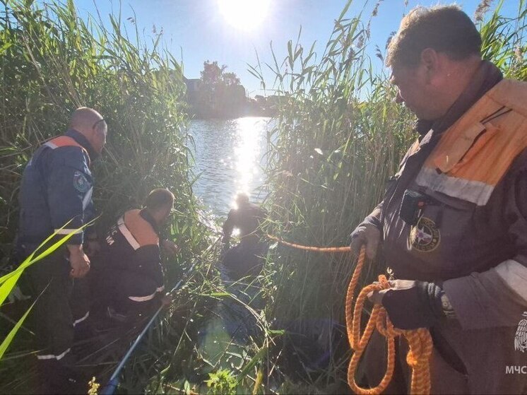 Под Гурьевском беспечность взрослых стала причиной гибели четырёхлетней девочки