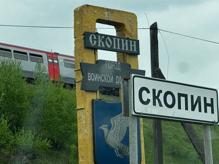 Массовая гибель пчёл произошла в Скопинском районе Рязанской области