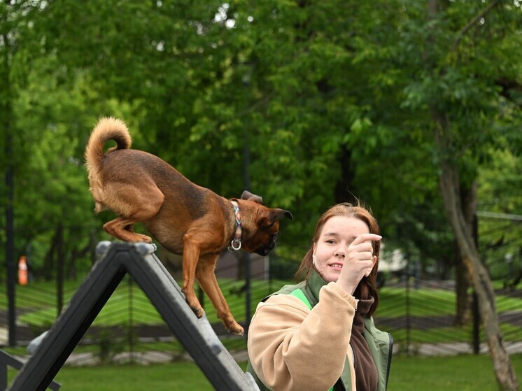 В Москве и Подмосковье начнет теплеть