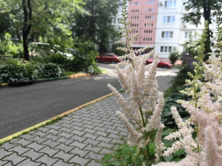 Шесть семей из Хабаровского края поборются за звание лучших в России