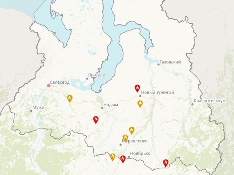 Почти в 3 раза выросла за сутки площадь лесных пожаров в ЯНАО