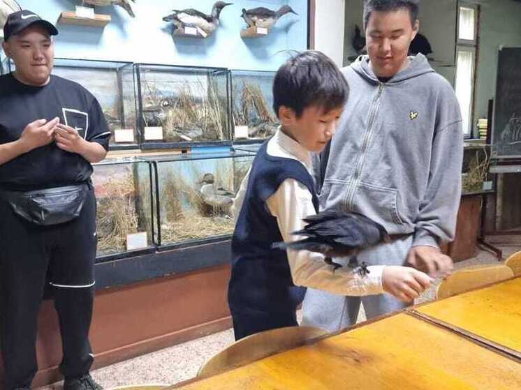 Юный орнитолог из Эльгяйской школы спасает пернатых друзей