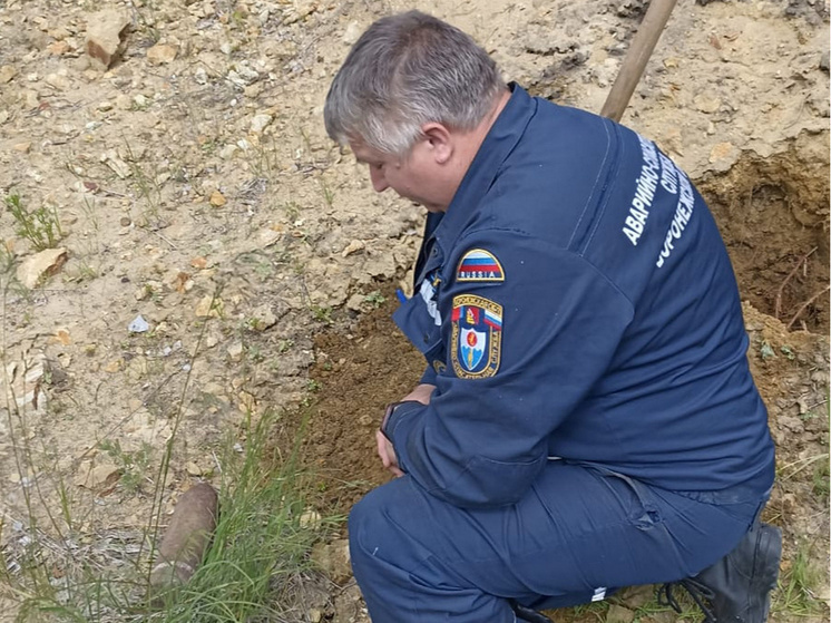 В Каширском районе унничтожили мину времен ВОВ