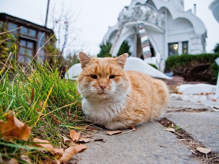 Потепление до +31 градуса ожидается в Астрахани 2 июля