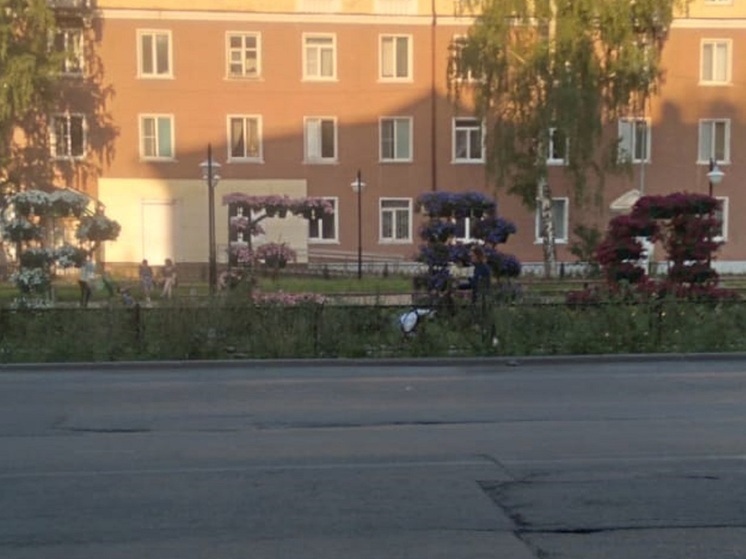 В Ревде скончалась бывший депутат и директор школы Людмила Федосеева