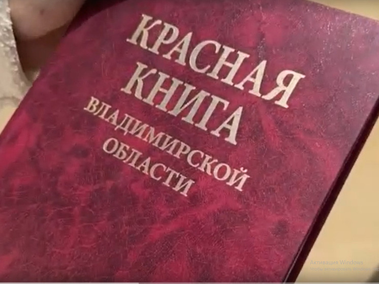 Во Владимире пересаживают краснокнижные колокольчики