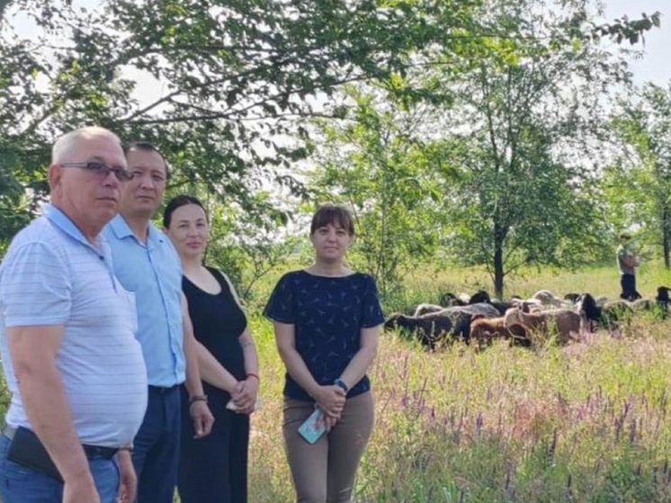 Многодетная семья из Калмыкии развивает личное подсобное хозяйство