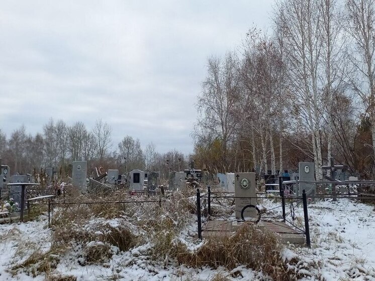  «Распотрошили» и бросили у кладбища: в Алтайском крае рецидивисты угнали машину ради запчастей