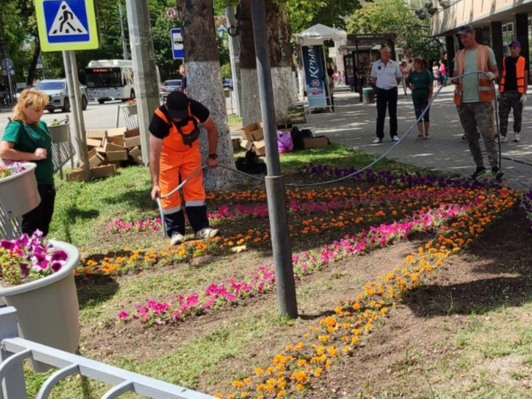  В Симферополе высадили цветочные композиции