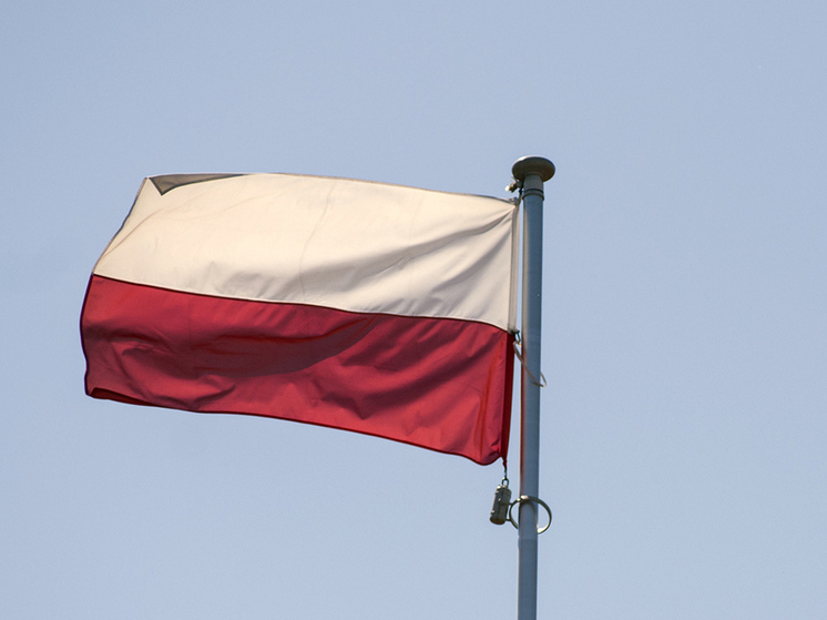 Польша вводит усиленный контроль на границах с Германией и Литвой