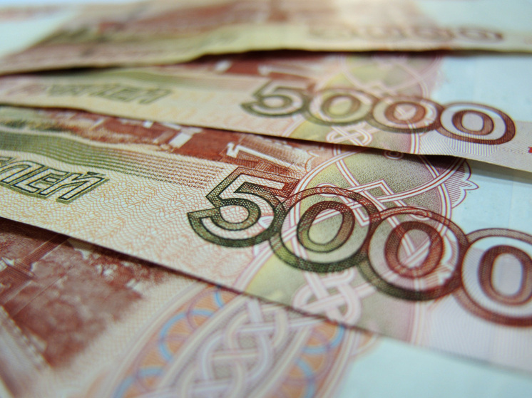 Иностранку подозревают в краже у пенсионерки почти 300 тысяч
