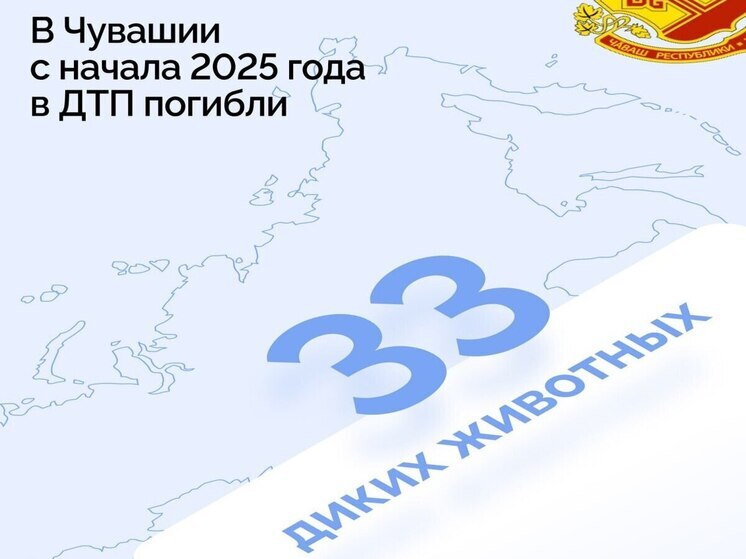 На дорогах Чувашии гибнут дикие животные: водителей просят быть внимательнее