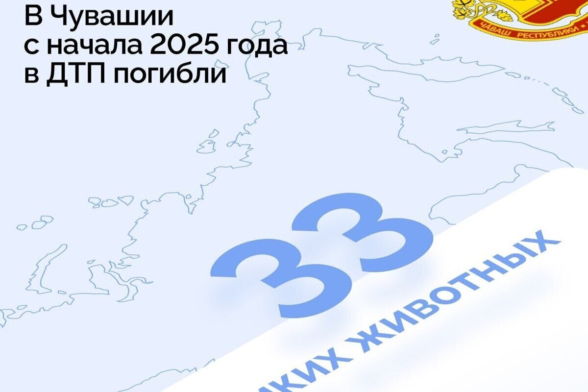 На дорогах Чувашии гибнут дикие животные: водителей просят быть внимательнее