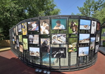 29 июня в Алматы открылась фотовыставка под названием ZOO Аrt, организованная Союзом фотографов и цифровых фотохудожников (@union
