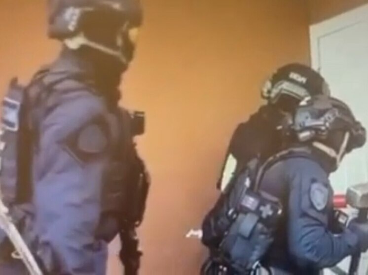 Уроженца Азербайджана задержали в Петербурге за многомиллионное мошенничество