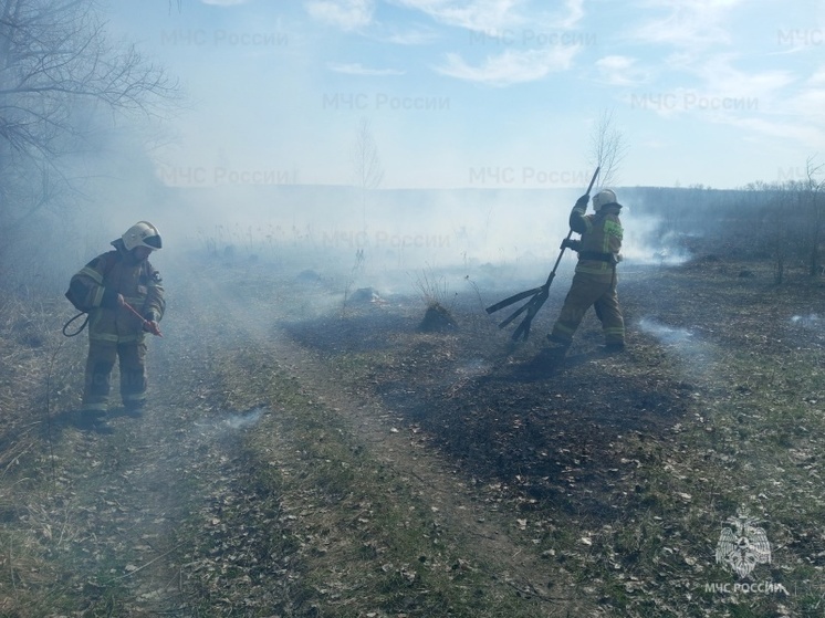 В ЛНР возможны лесные пожары