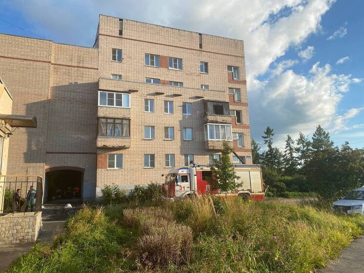 Три пожара за сутки ликвидировали в Ленинградской области