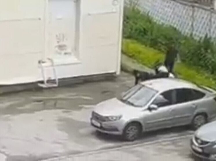 Подростка из Азербайджана с семьей депортировали из-за избиения в Петербурге
