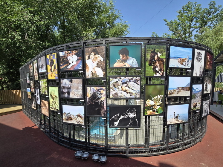 В Алматы в пространстве Platforma открылась экспозиция ZOO Art
