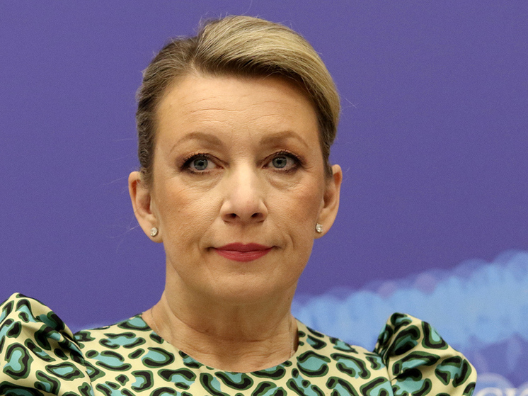 Мария Захарова высказалась о желающих нагреть руки на кризисе между Россией и Азербайджаном