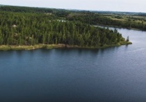 В Сети появилось необычное объявление, касающееся объекта на территории Тульской области