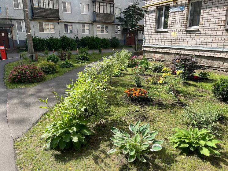 ТОС создадут жители дома №31 по улице Красноармейской в Пскове