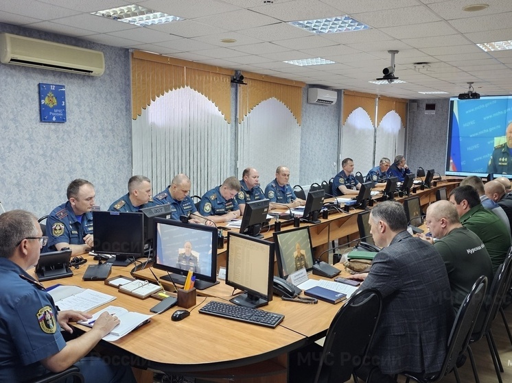 В этом году в Курской области на пожарах спасли 86 человек