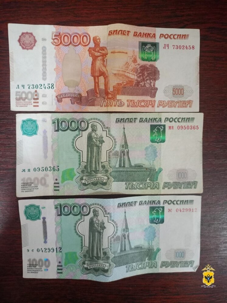 Херсонке грозит до 5 лет за кражу 7 тысяч рублей у матери сожителя