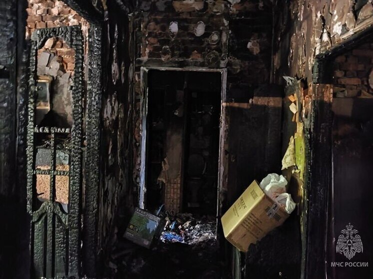 Мусор в квартире: стали известны причины смертельного пожара в ДНР
