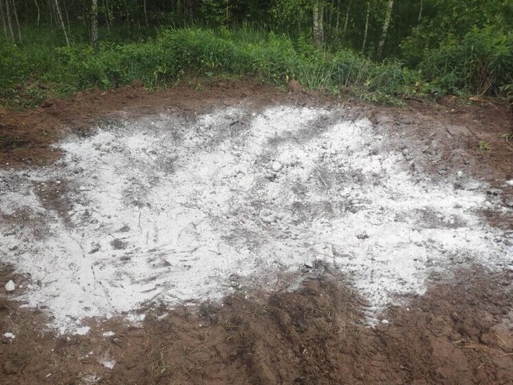 В Калужской области стало на два скотомогильника меньше