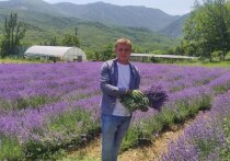 Эфиромасличный завод в Алуште осуществляет свою деятельность с 1922 года. После распада Советского Союза завод унаследовал технологии переработки и бесценный опыт культивирования эфироносных культур в условиях и ландшафтных особенностях крымского побережья