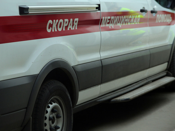 В результате пожара в округе Чехов сгорели 2 дома