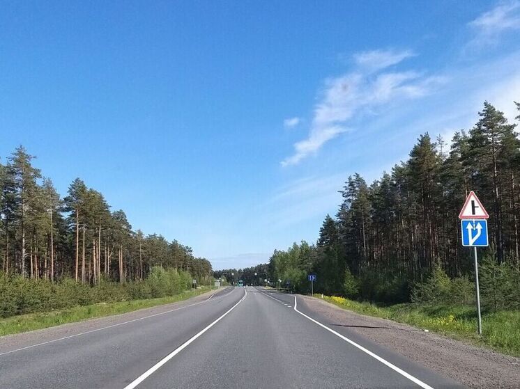В Ленобласти стартует ремонт дороги от Нижних Осельков до Нового Токсово