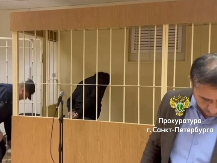 Присяжные вынесли вердикт убийце, ударившему ножом в сердце мужчину в Петербурге