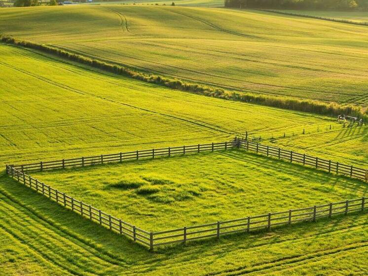 Суд взыскал земельный участок в Пскове за долги по кредиту