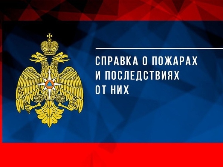2257 пожаров случилось в Псковской области в 2025 году